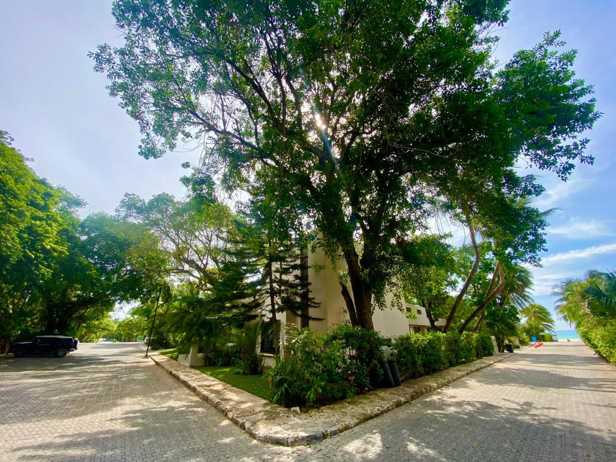 Villa Almendra Playacar 1 プレヤデルカーメン エクステリア 写真